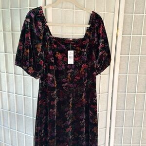 NWT Loft Velvet Floral Dress